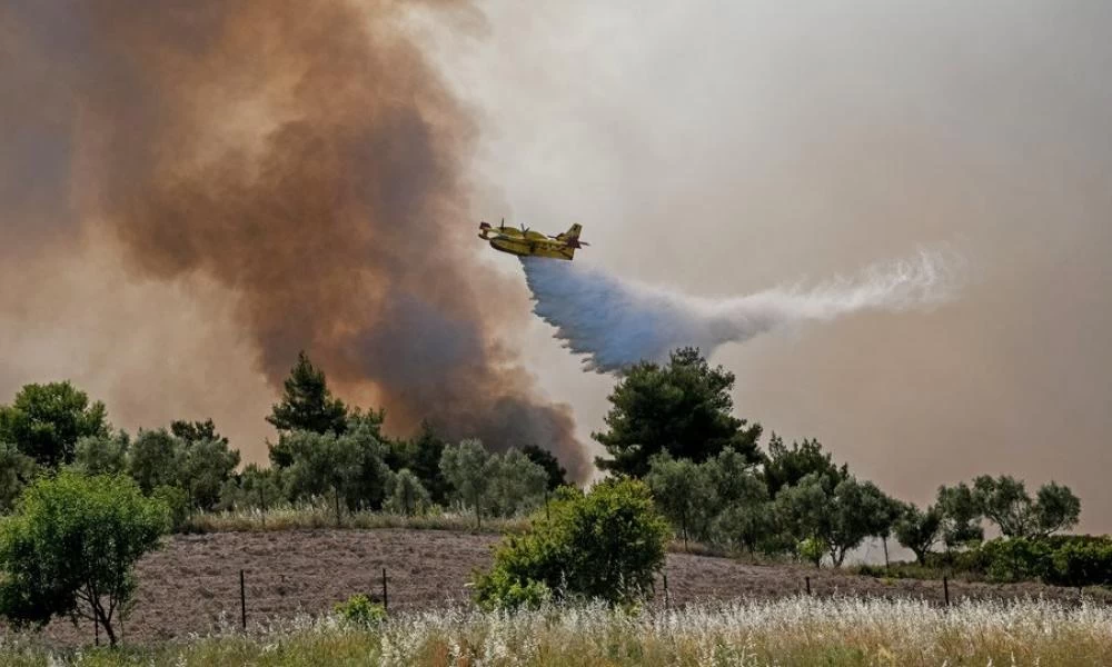 Μάχη με τις αναζωπυρώσεις στο Αλεποχώρi